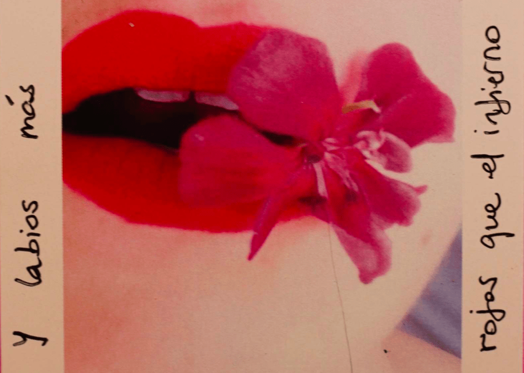 DIARIOS ÍNTIMOS DE UNA&nbsp;PROVOCATRIZ