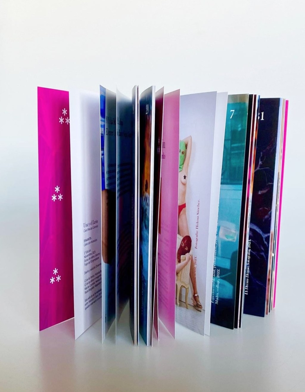 🐅Una y el&nbsp;León🪜